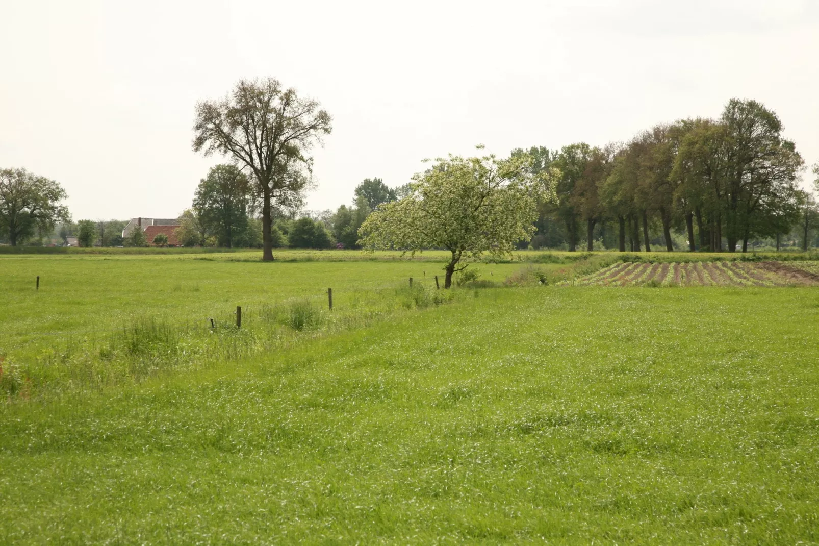 't Achterhoes-Gebieden zomer 1km