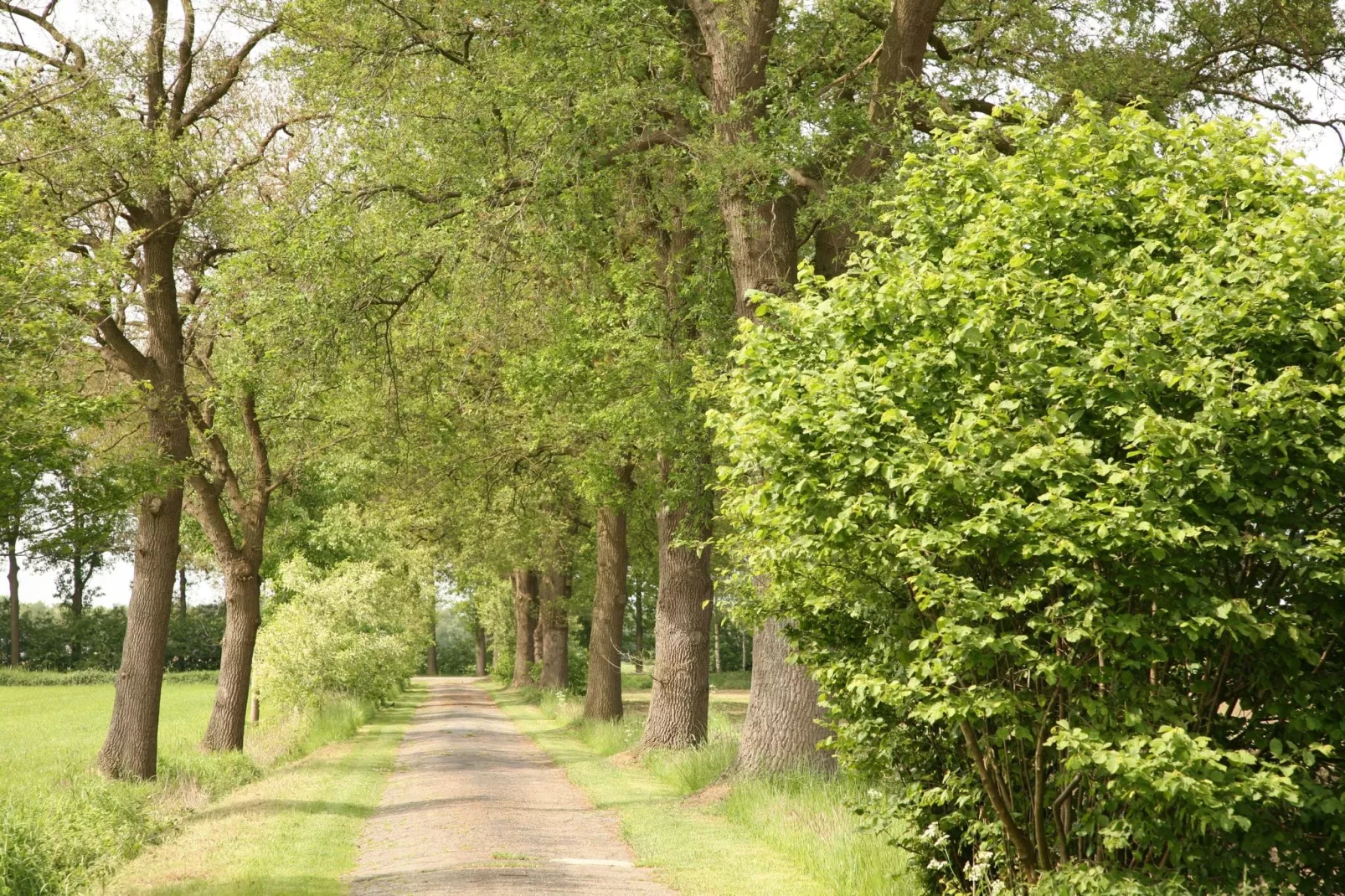 't Achterhoes-Gebieden zomer 1km