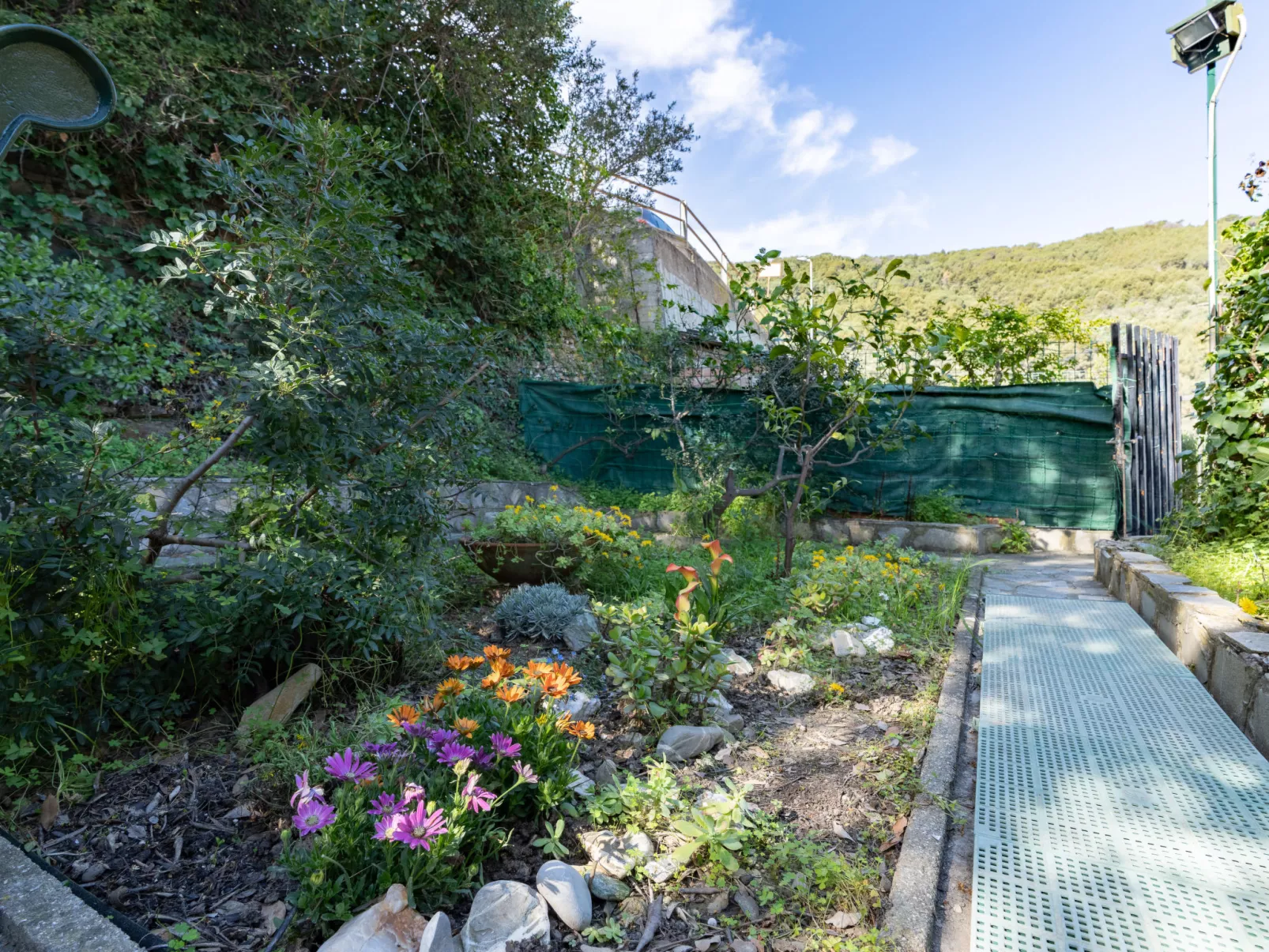 Garden an Seaview-Buiten