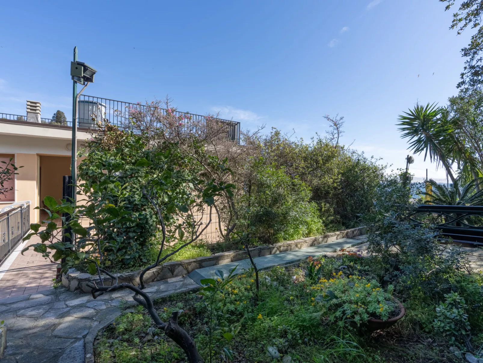 Garden an Seaview-Buiten