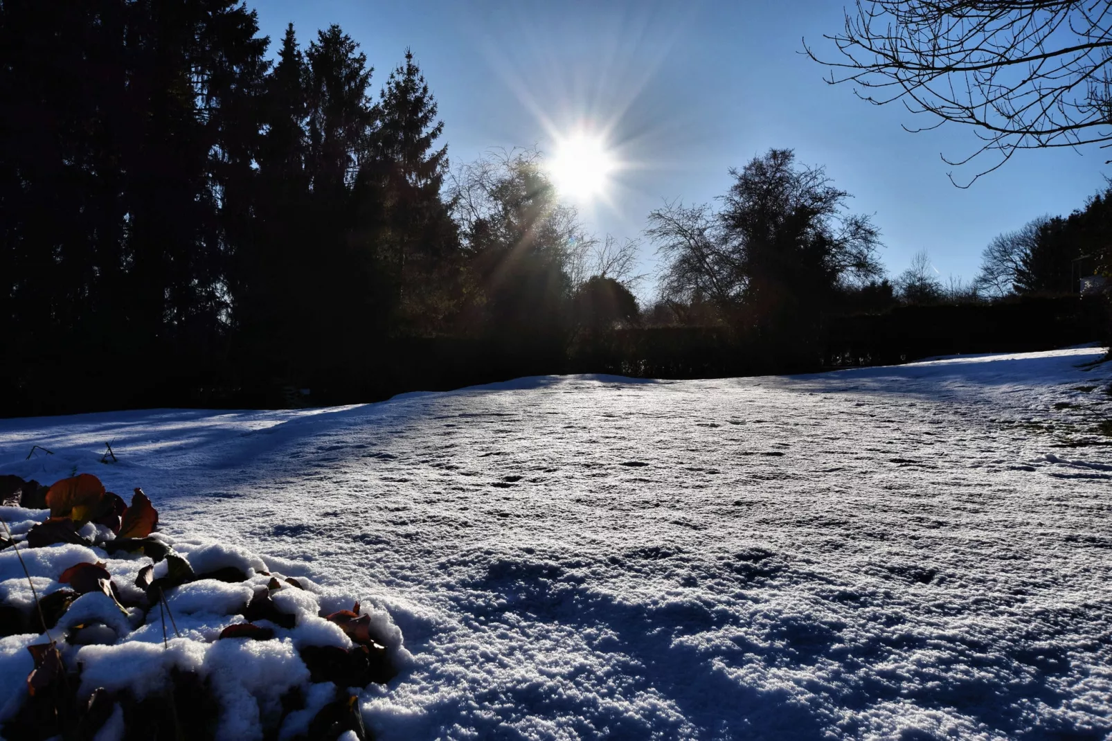 Castarière-Tuin winter