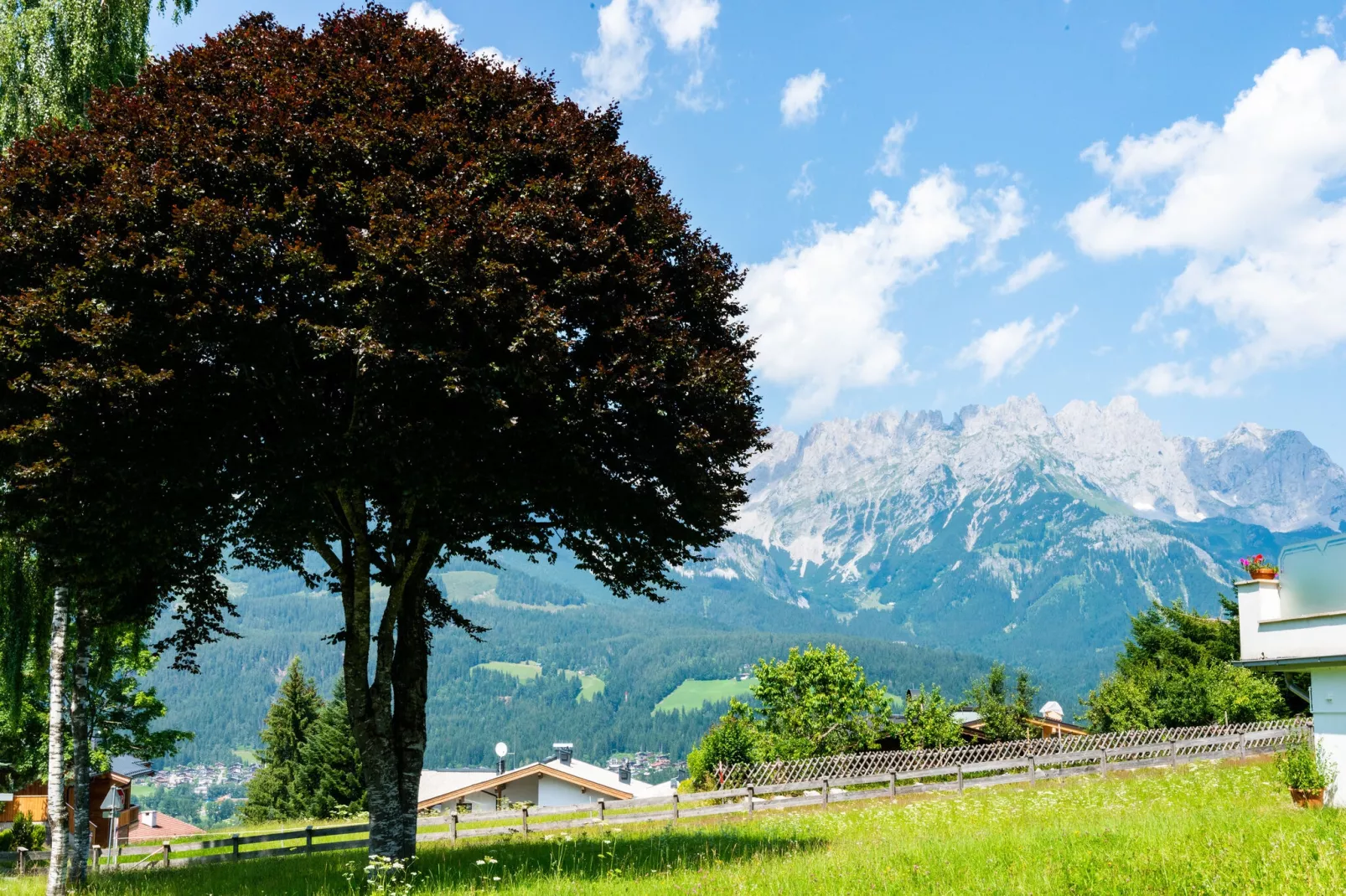 Apartment Berghof Ski-in & Ski-out-Uitzicht zomer