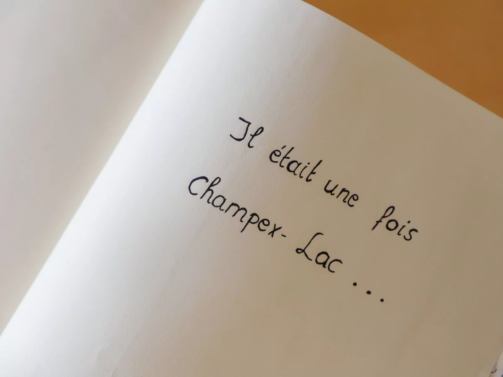 Les Combins apt. 23-Binnen