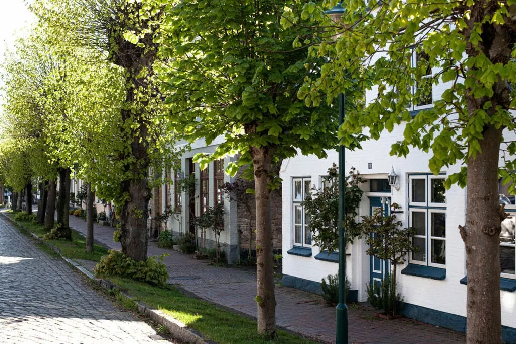 288766-Gebieden zomer 1km