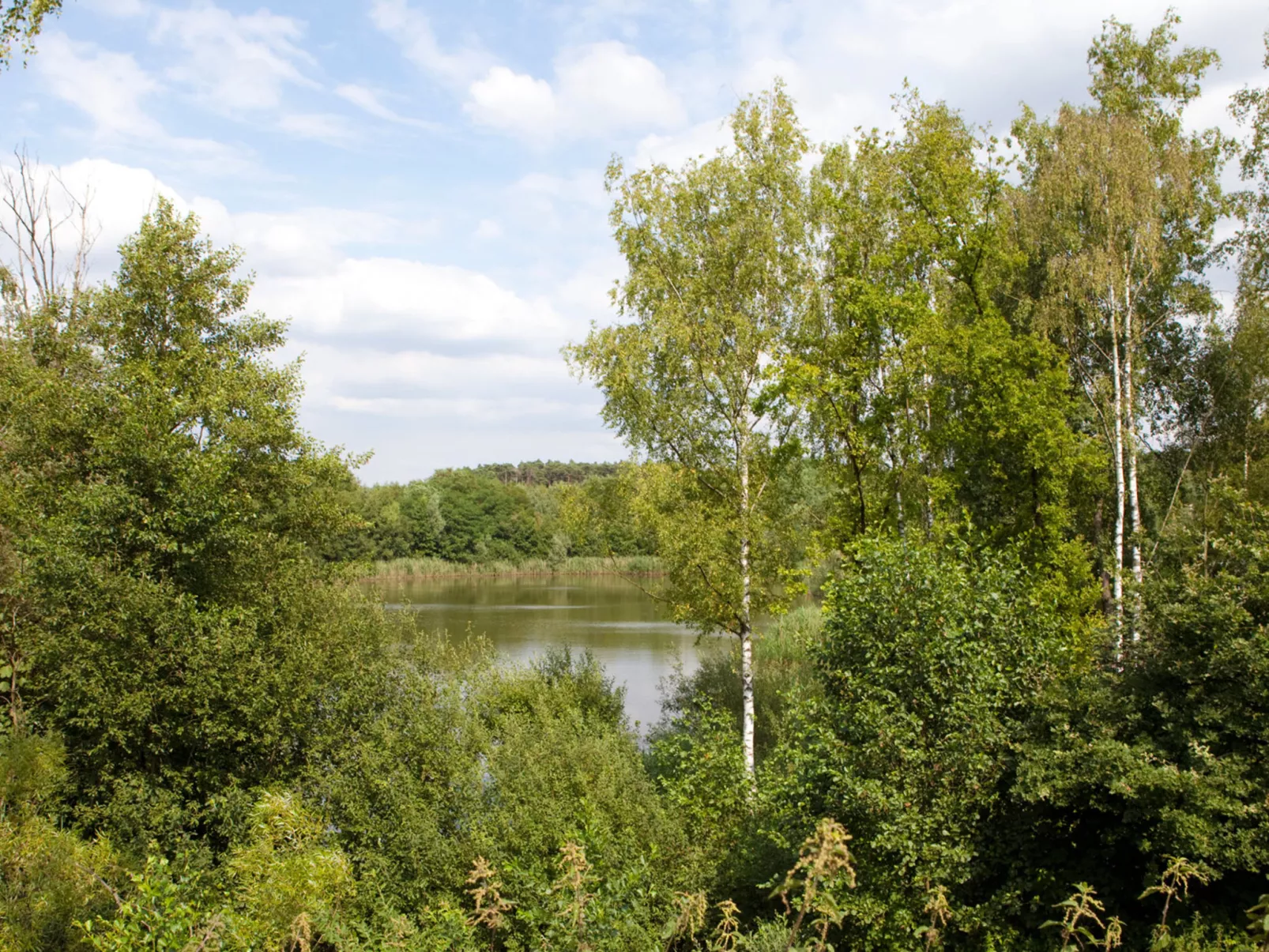 Fins Chalet 4-Buiten