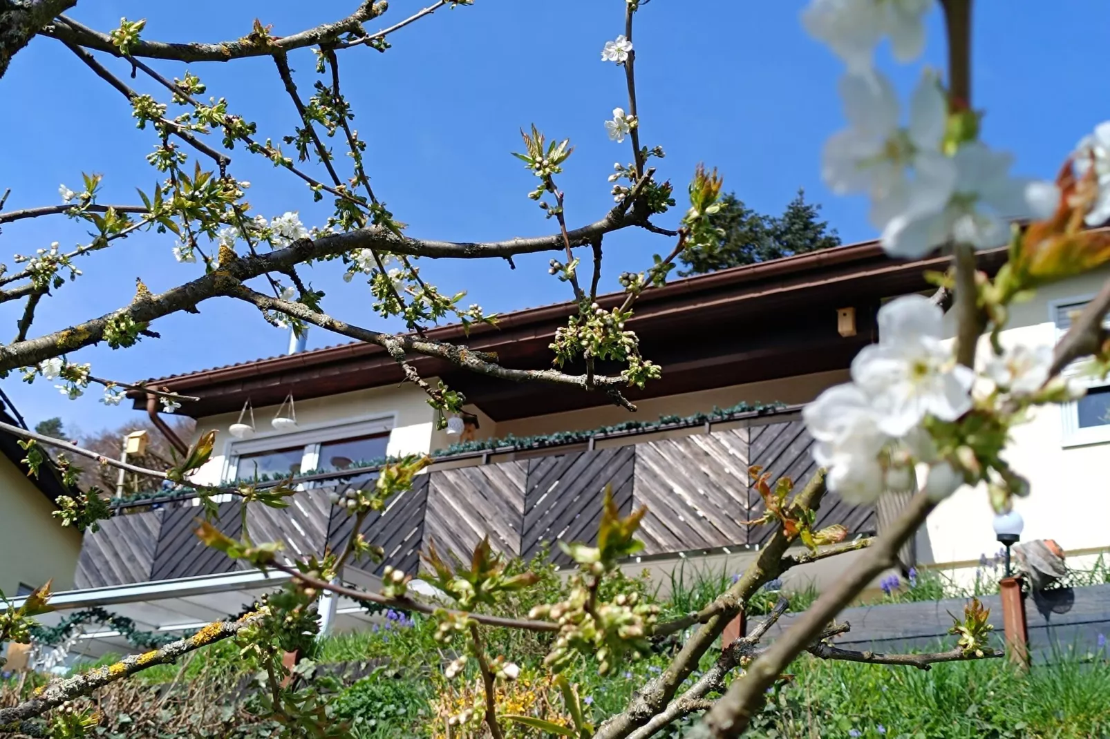 Ferienwohnung zum Märchenwald-Buitenkant zomer