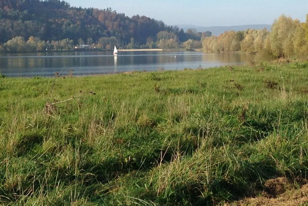 99381-Gebieden zomer 5km