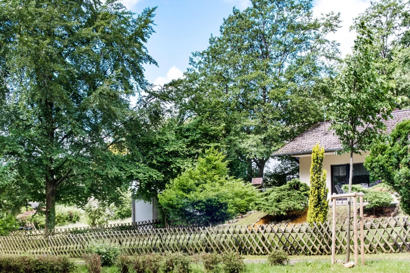 Eifel-Ferienhaus Rita Romag-Buitenkant zomer