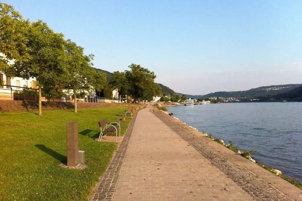 440018-Gebieden zomer 5km