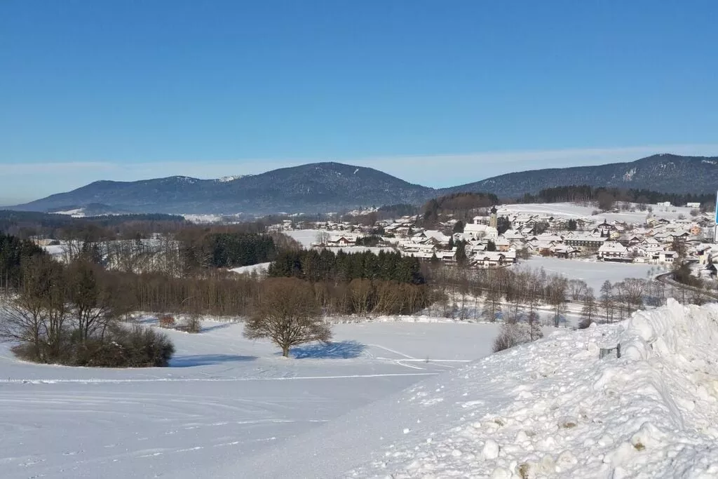 48291-Gebied winter 5km