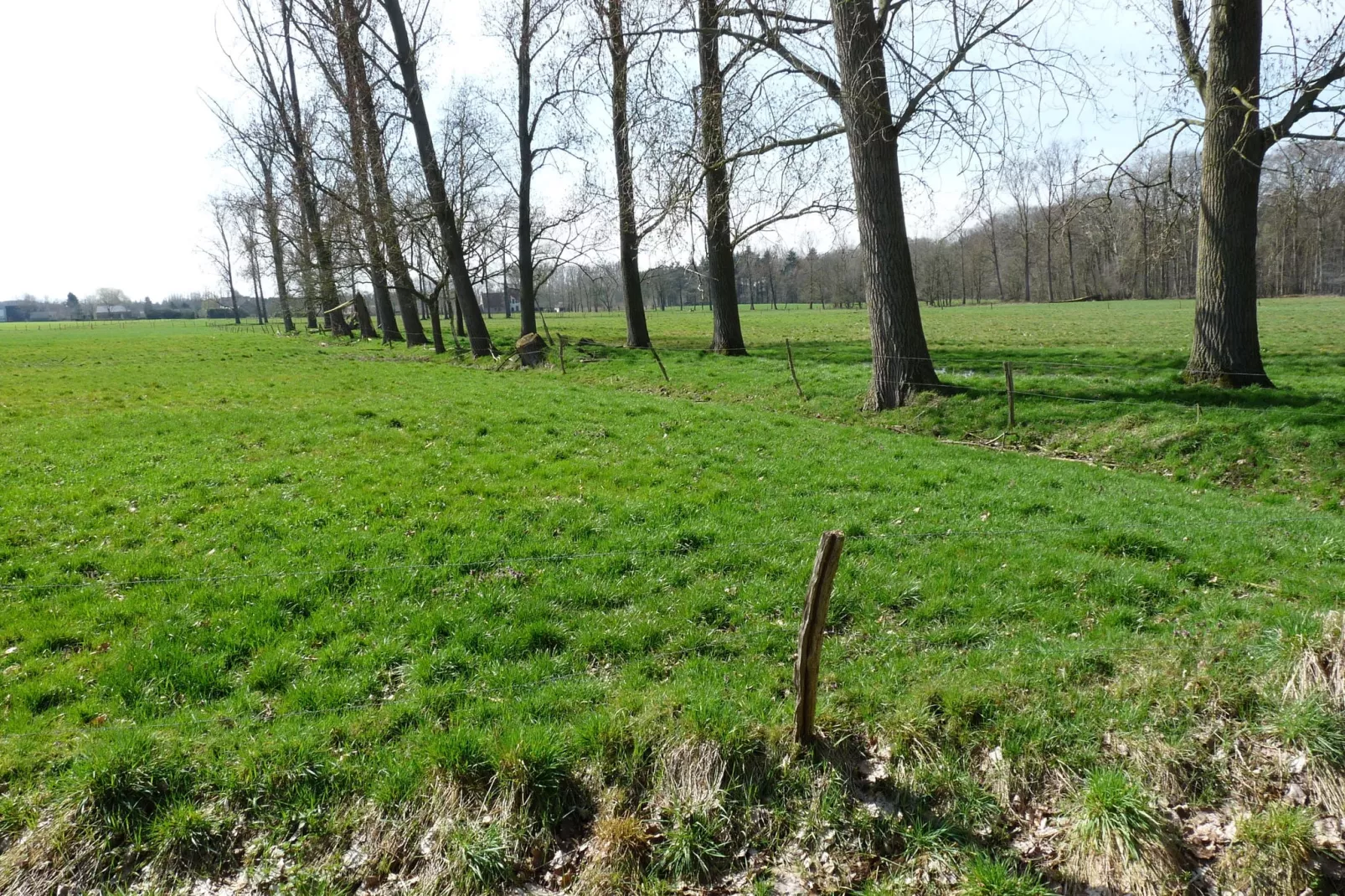 Prachtig ingericht vakantiehuis in Aalter met een grote tuin in een bosrijke omgeving-Gebieden zomer 1km