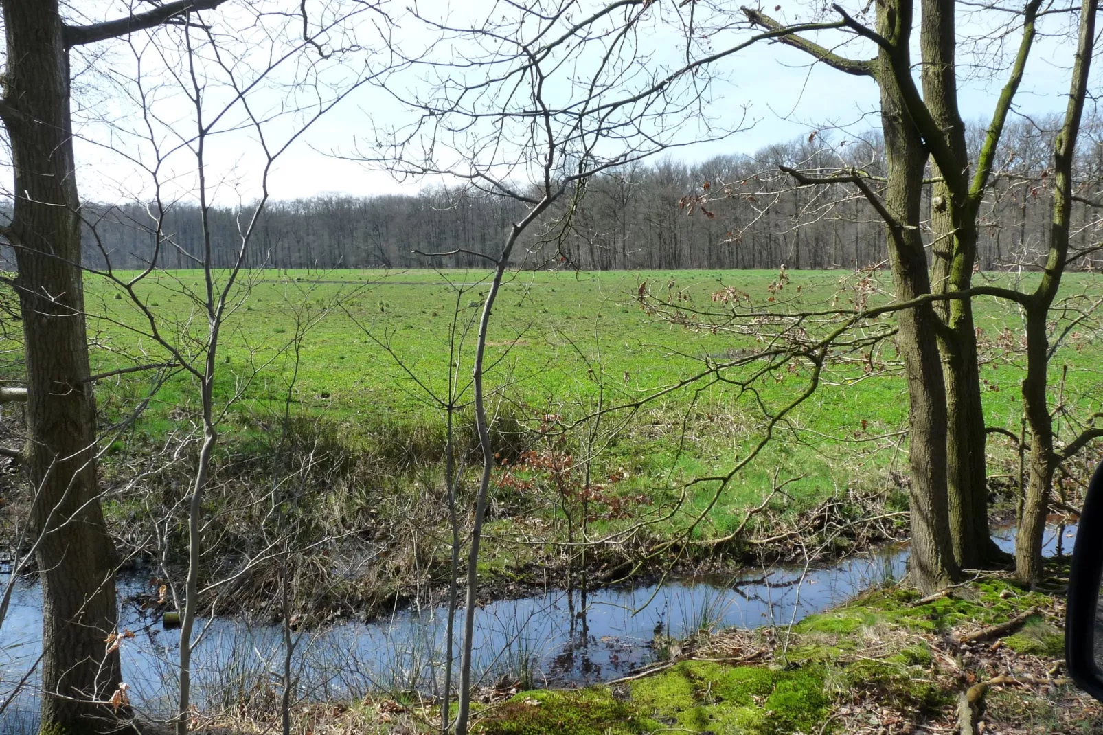 Prachtig ingericht vakantiehuis in Aalter met een grote tuin in een bosrijke omgeving-Gebieden zomer 5km