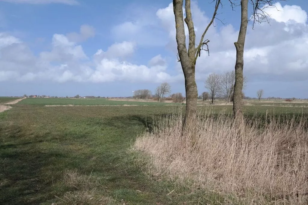 389318-Niet-getagd