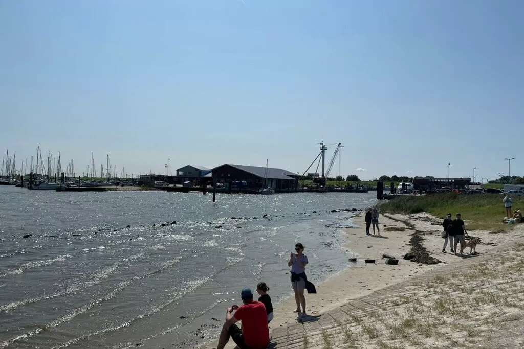 389318-Gebieden zomer 5km