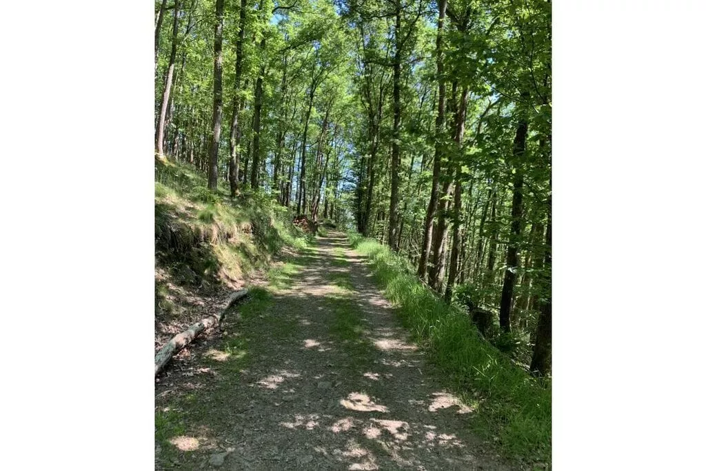 297573-Gebieden zomer 5km