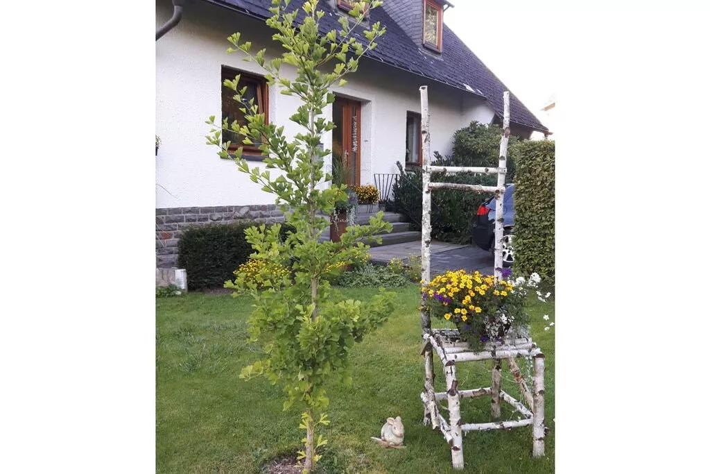 184923-Tuinen zomer