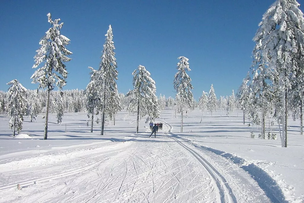 18225-Gebied winter 5km