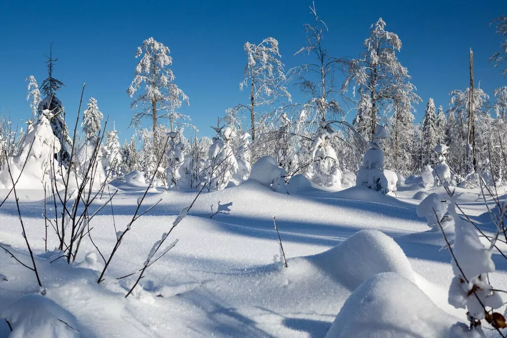 18225-Gebied winter 5km