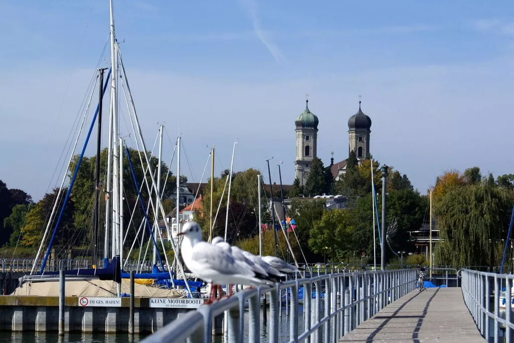 212921-Gebieden zomer 5km