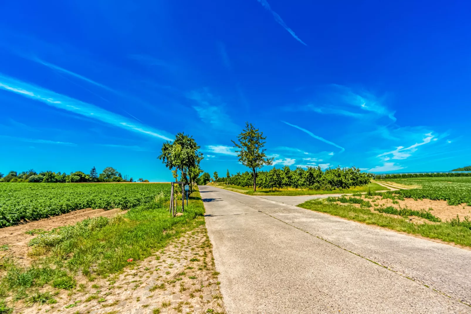 De Jachtbloesem-Gebieden zomer 1km