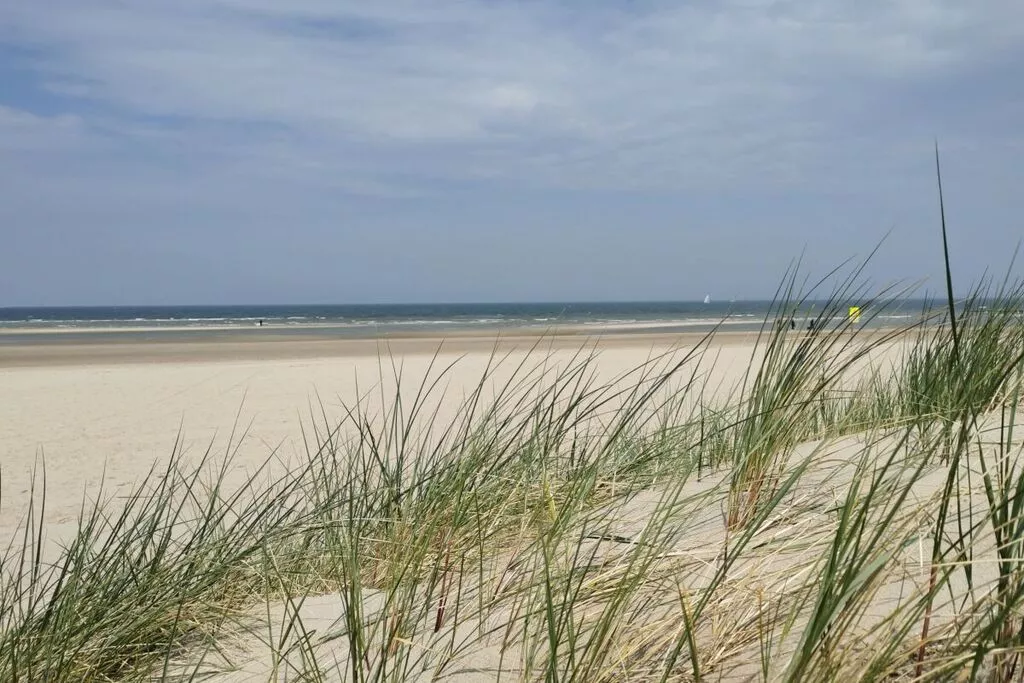 189972-Gebieden zomer 5km