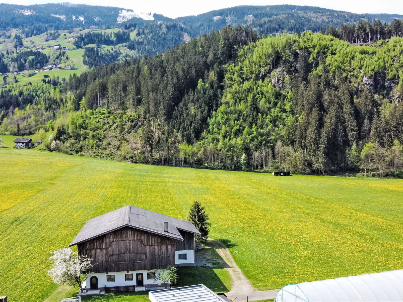 Apartment Wallischer Johann-Buiten