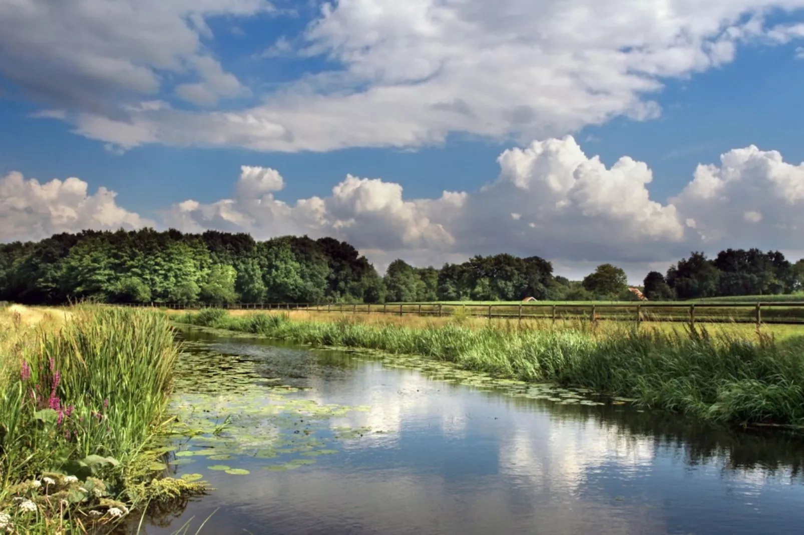 Vakantiecentrum 't Schuttenbelt 1-Gebieden zomer 1km