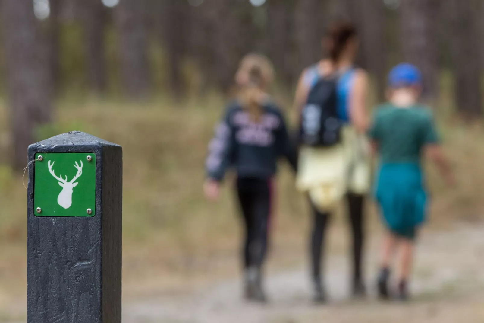 De Haaijmanweg 5  Burgh Haamstede 'Huisje 86'-Sfeer