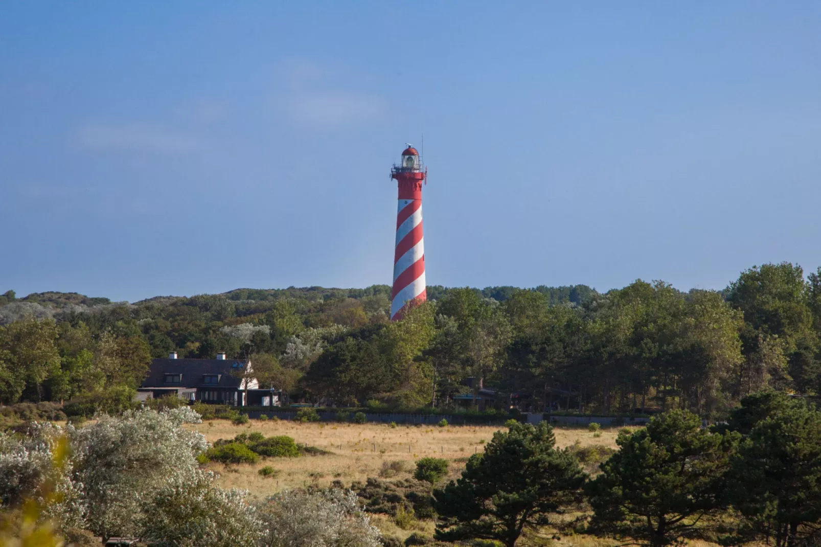 De Haaijmanweg 5  Burgh Haamstede 'Huisje 86'-Gebieden zomer 20km