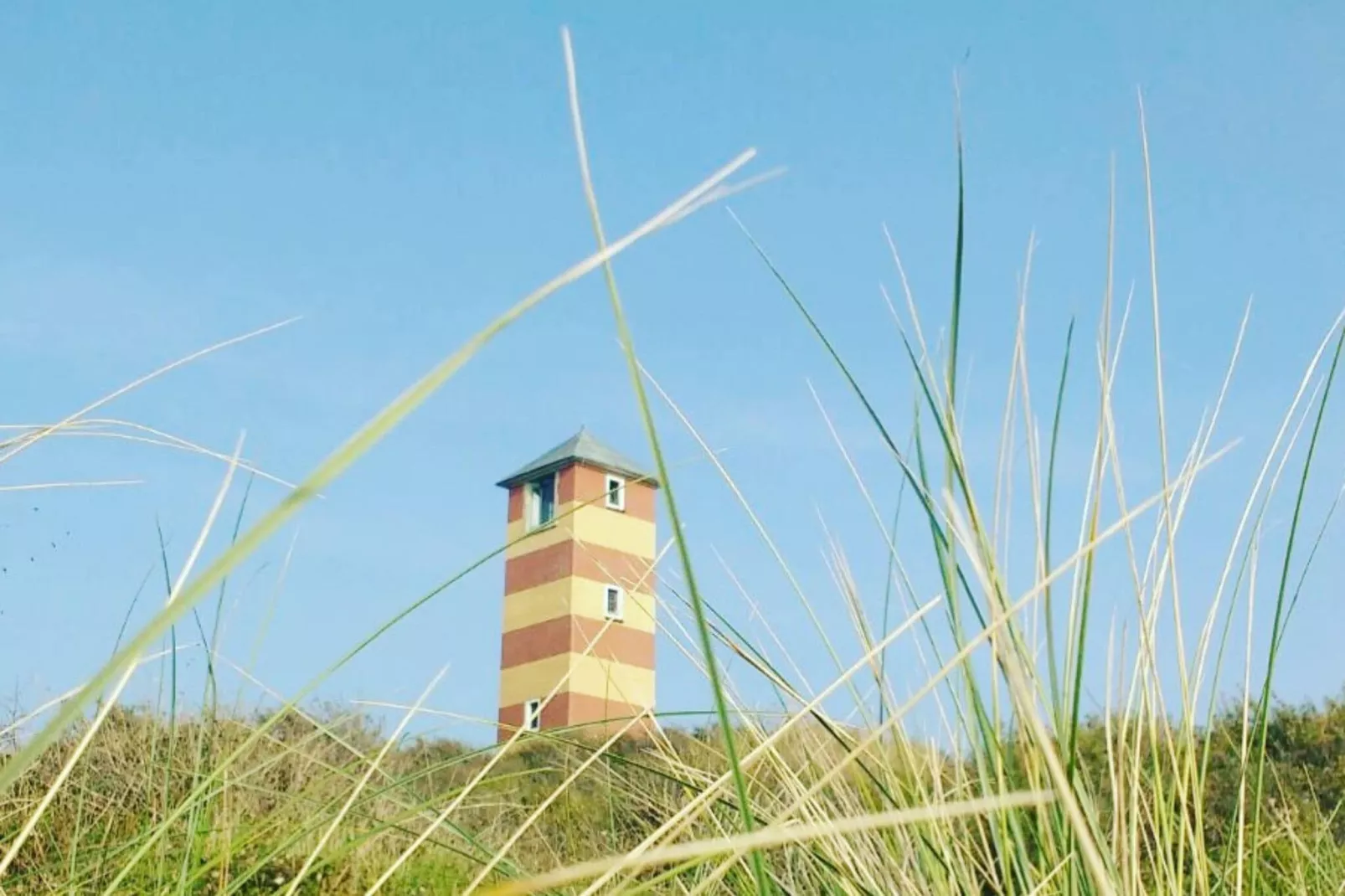 Strand Dishoek 345/346-Gebieden zomer 1km