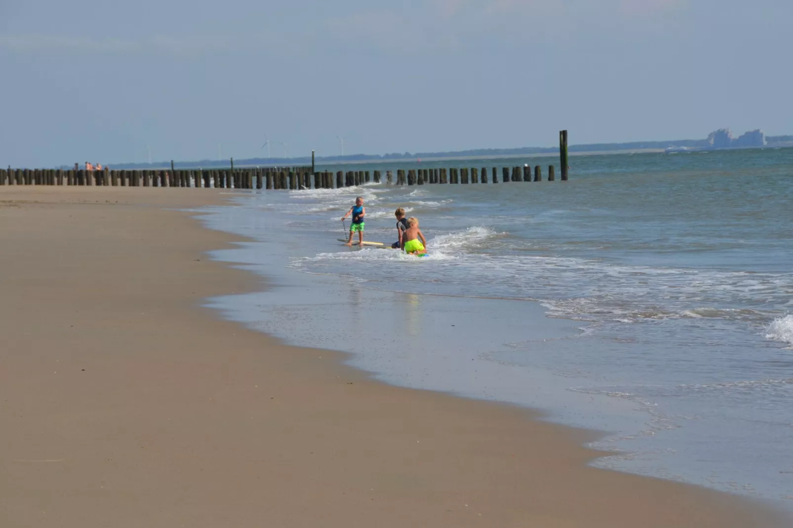 Strand Dishoek 345/346-Gebieden zomer 1km