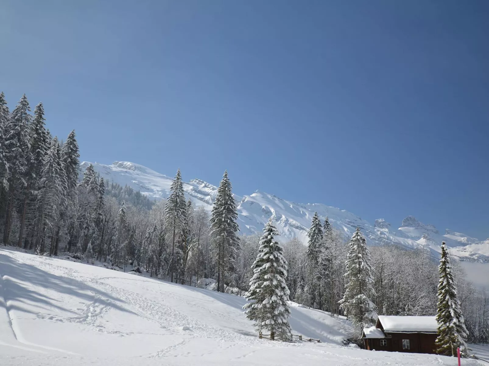 Chalet Heureka-Horbis-Binnen