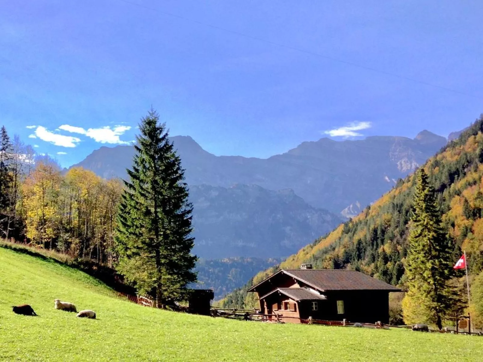 Chalet Bergmandli-Binnen