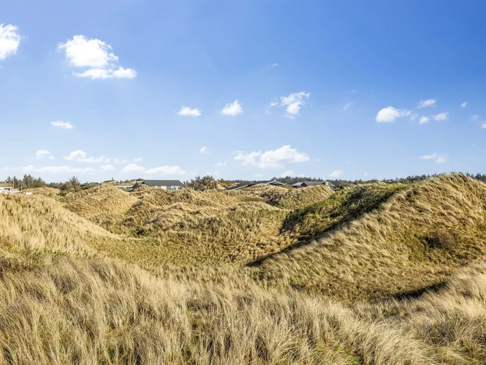 "Bovi" - 300m from the sea-Buiten