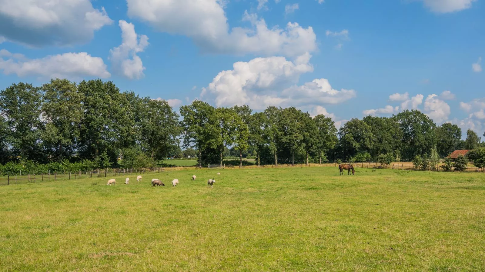 An t Noordende-Tuinen zomer