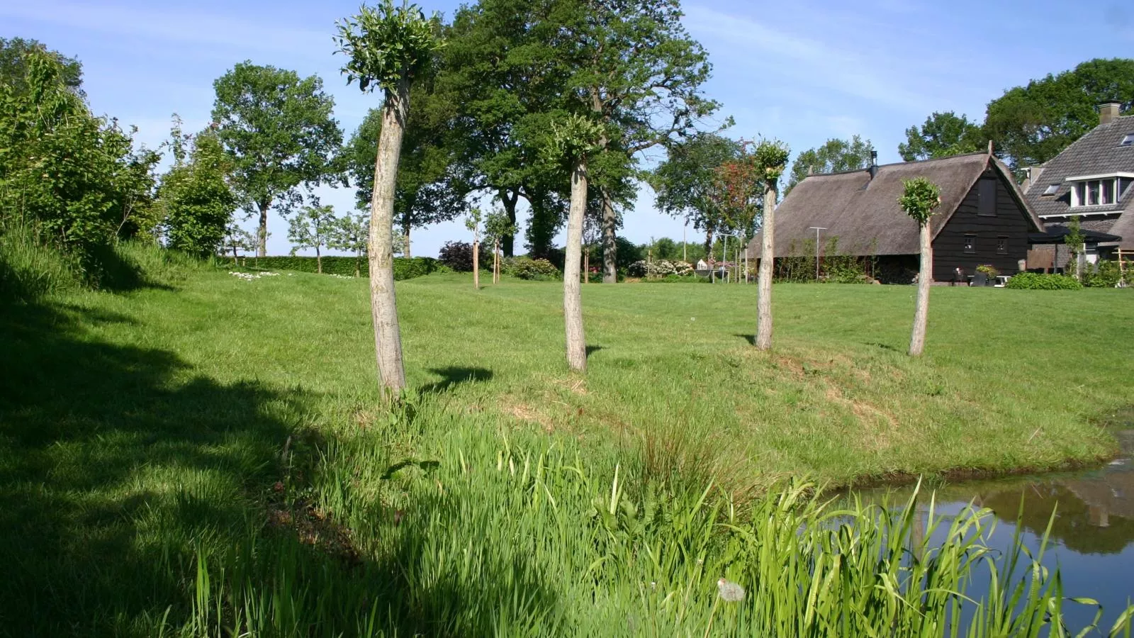 An t Noordende-Tuinen zomer