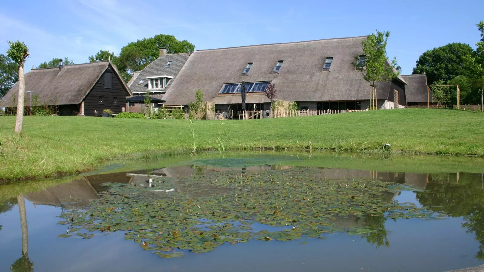 An t Noordende-Buitenkant zomer