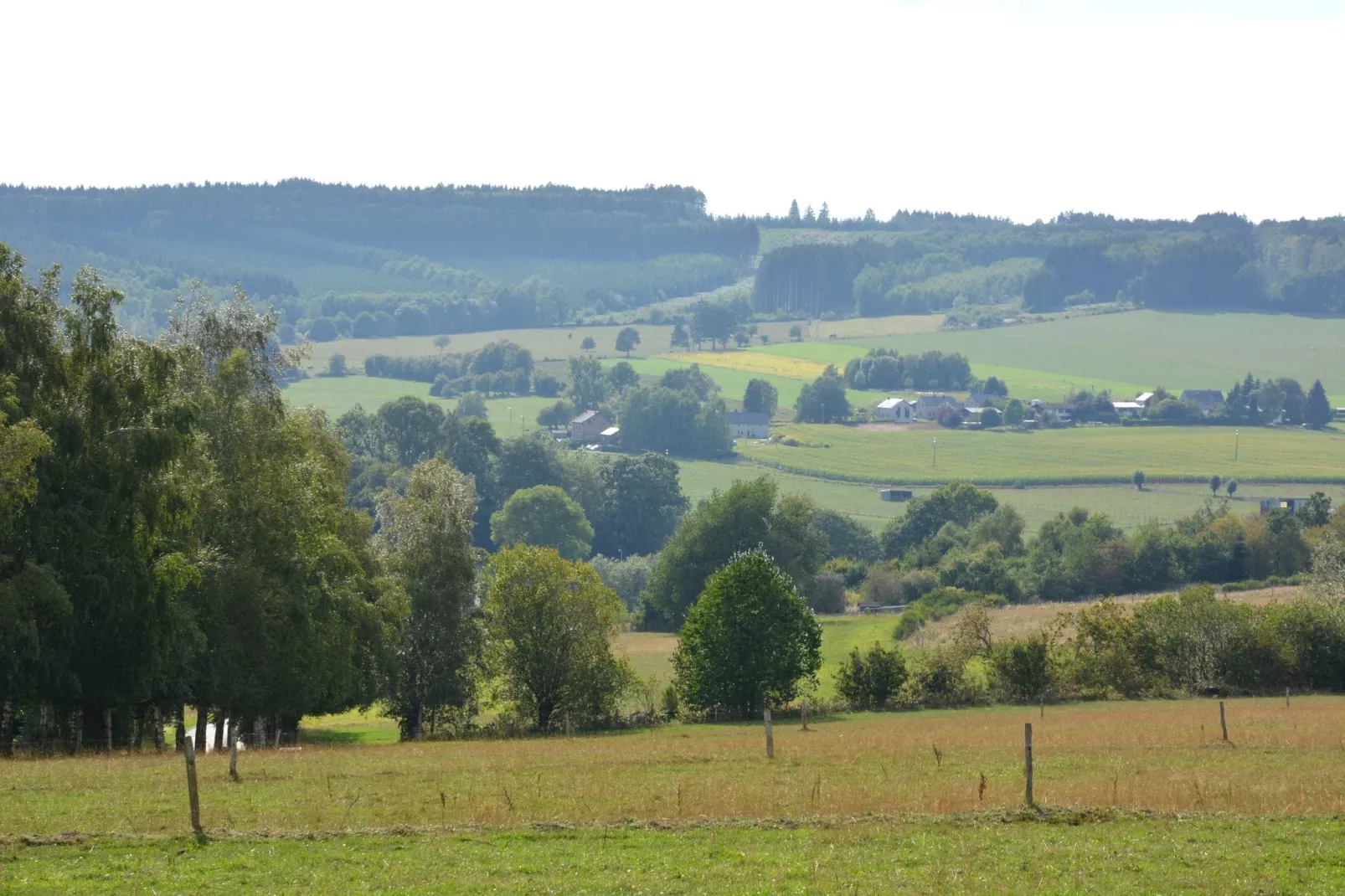 Le vieil érable-Gebieden zomer 1km