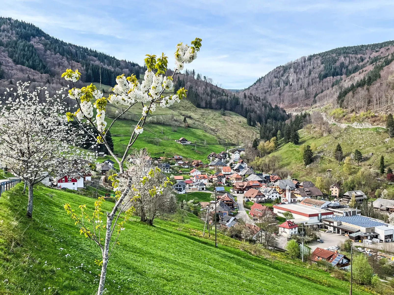 Sonnenblick III-Omgeving