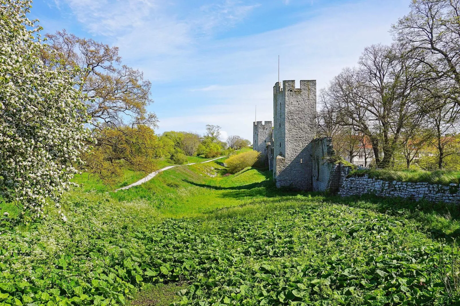 4 persoons vakantie huis in GOTLANDS.TOFTA-Niet-getagd