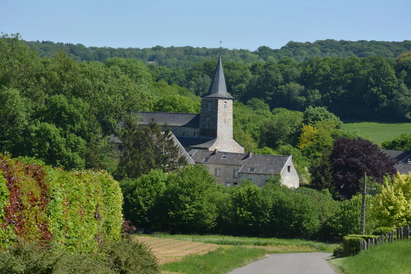 Le vieil érable-Gebieden zomer 20km