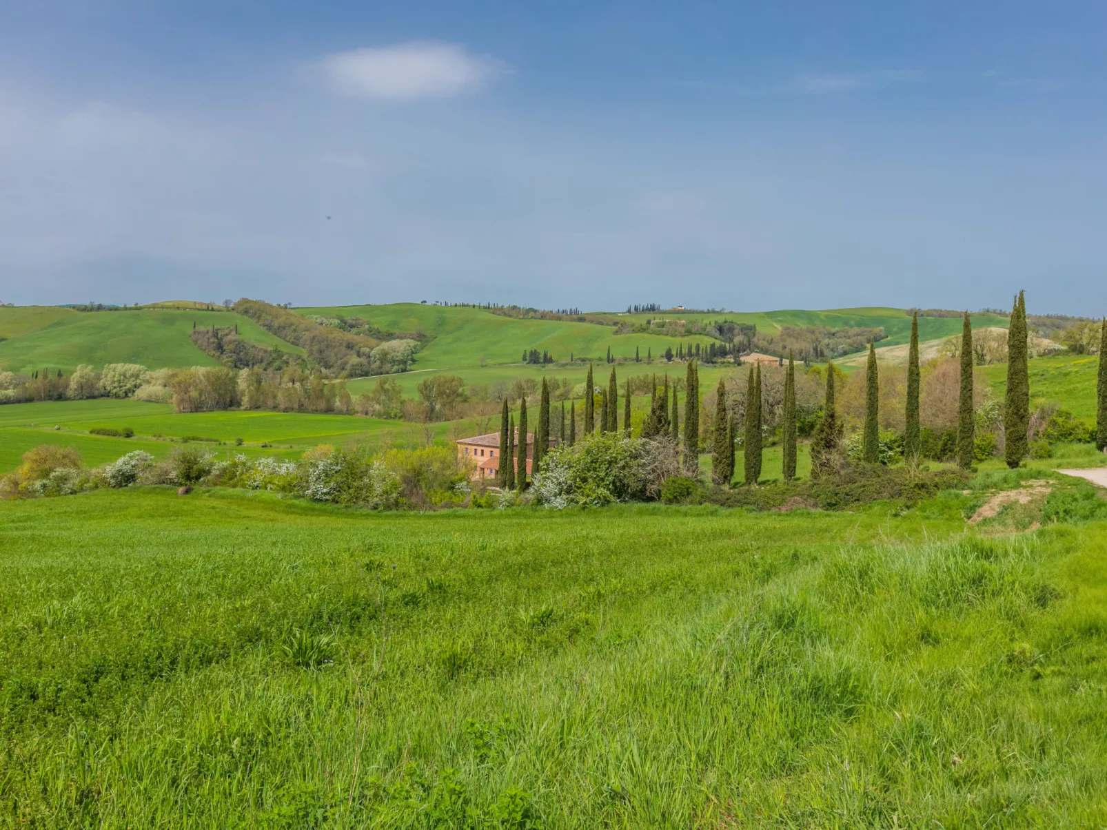 Podere Vetricella-Buiten