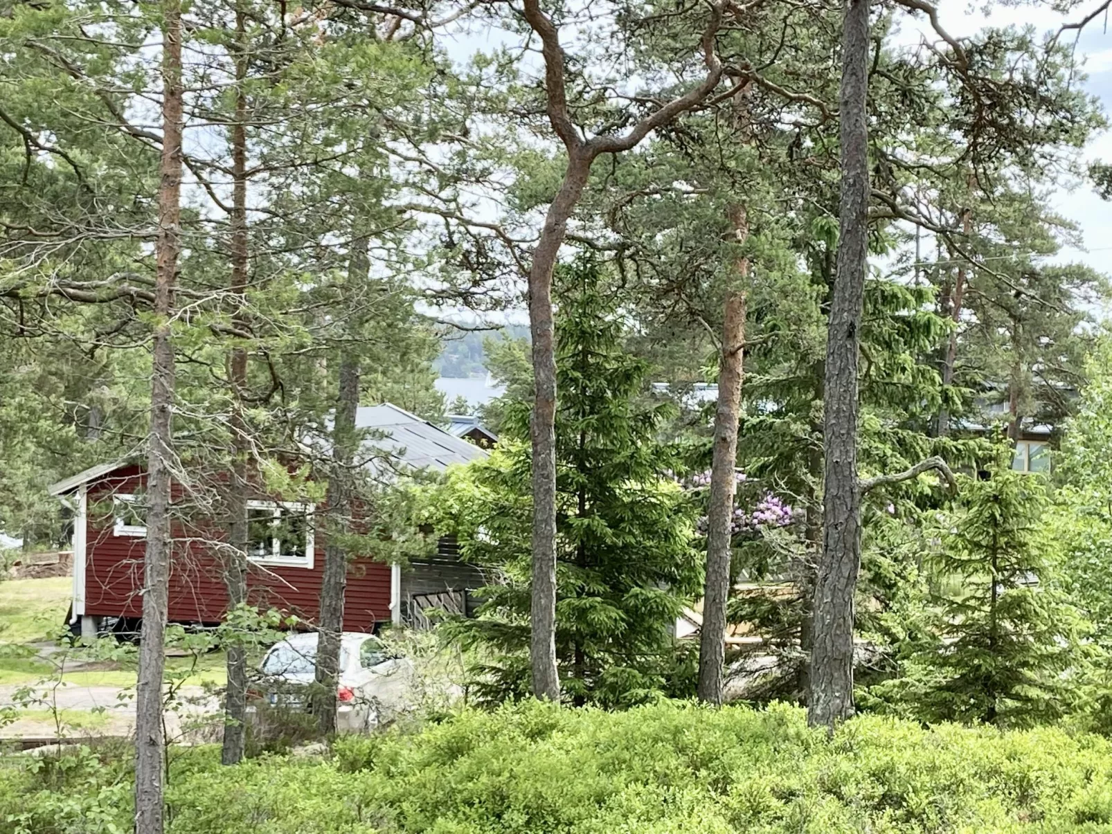 Smultronstället-Buiten