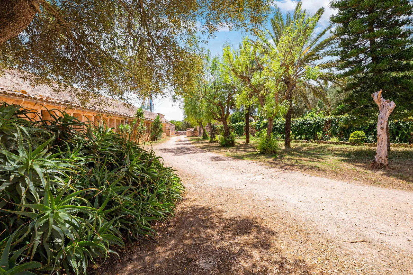 Casa del Señor-Gebieden zomer 1km