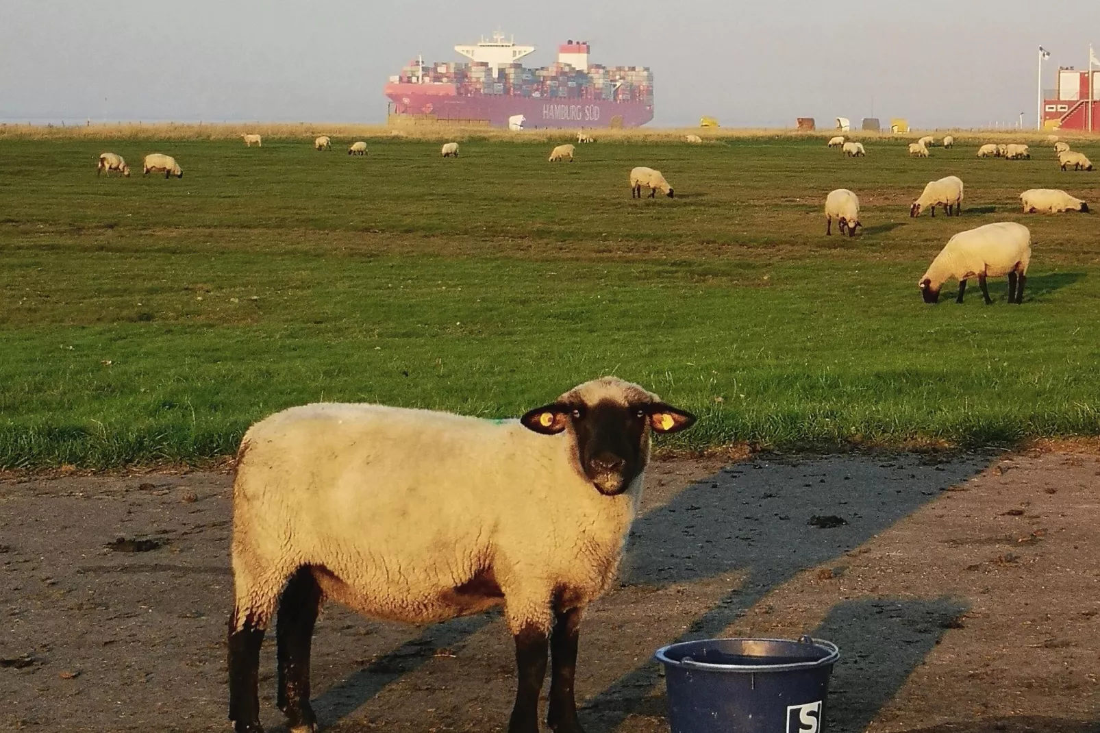 Ferienwohnung Der Anker-Gebieden zomer 20km