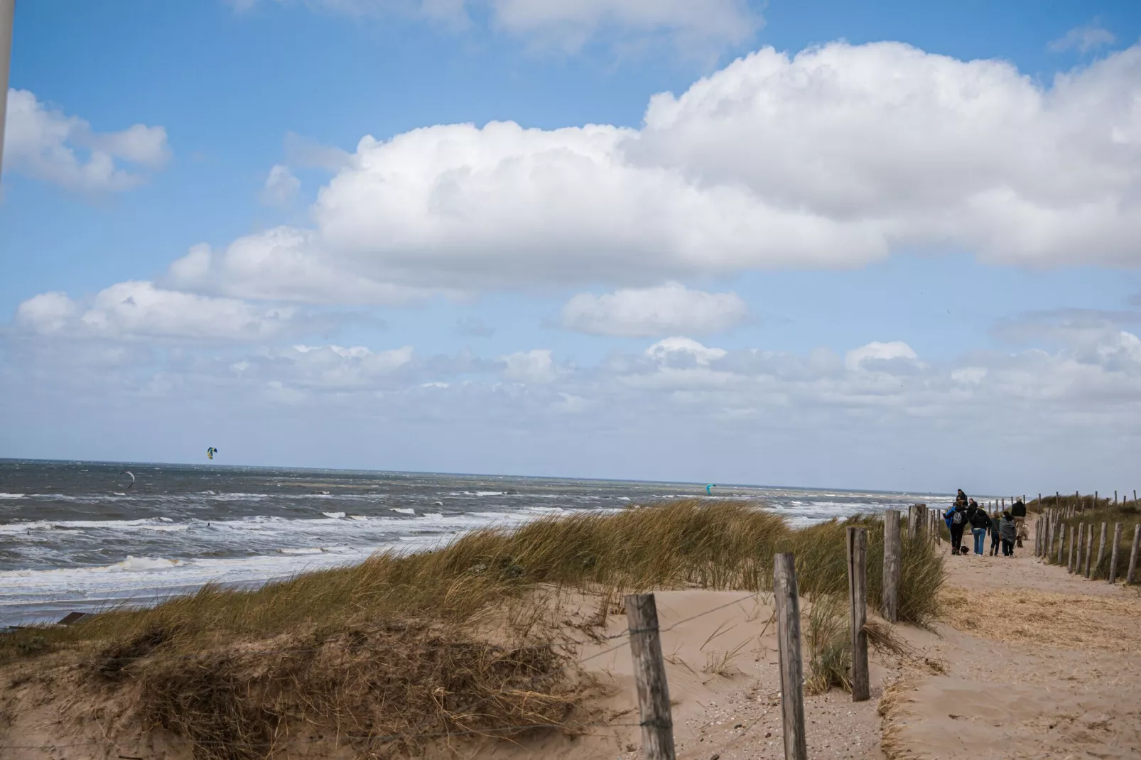 De ZeeParel Sea Fish-Gebieden zomer 1km