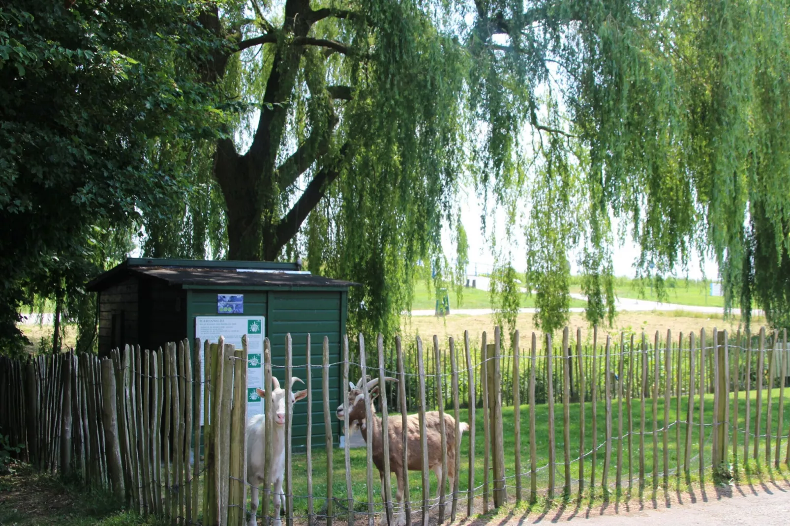 6 pers Welness huis 85-Parkfaciliteiten