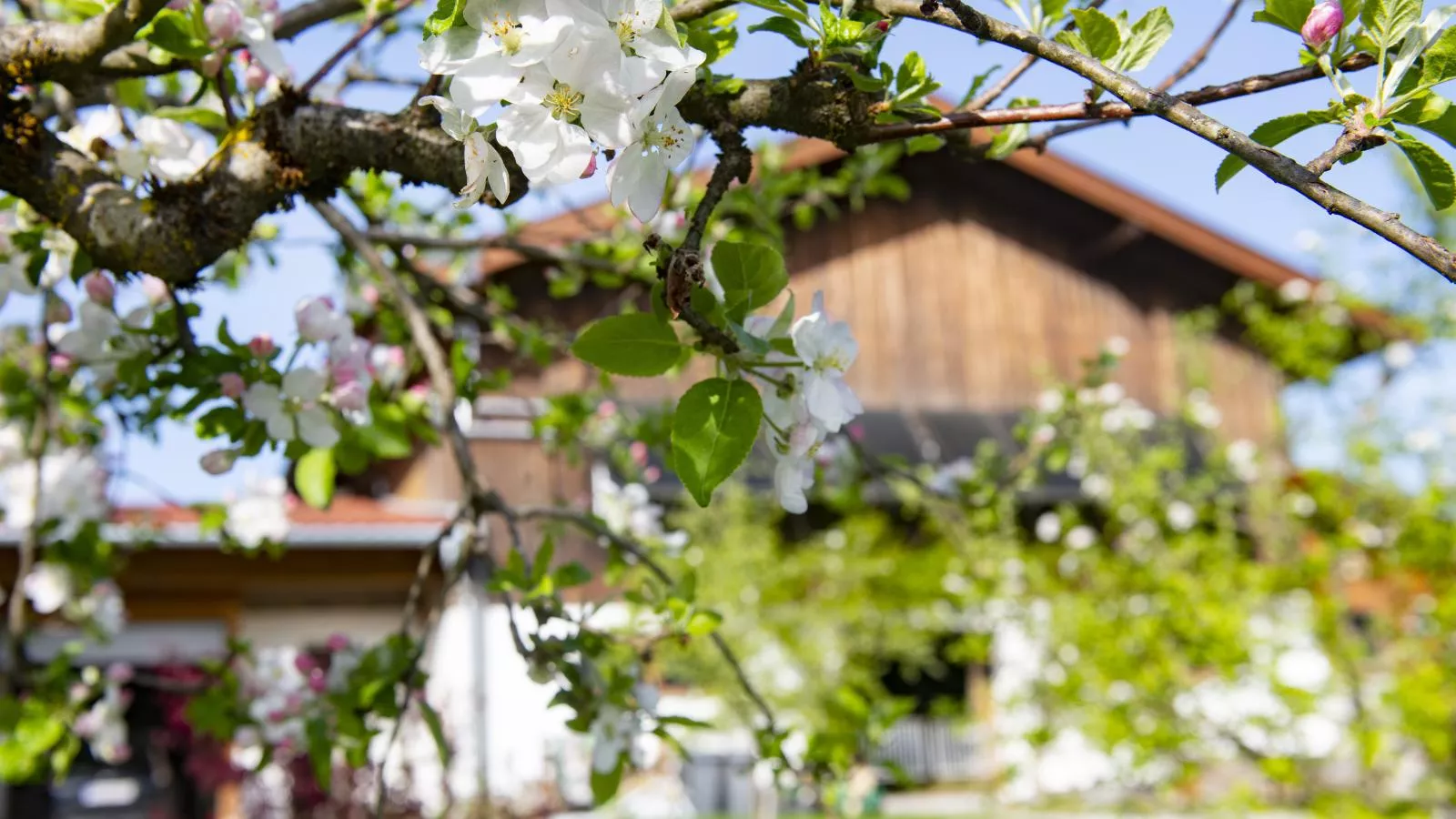 Auszeit am Bauernhof-Sfeer