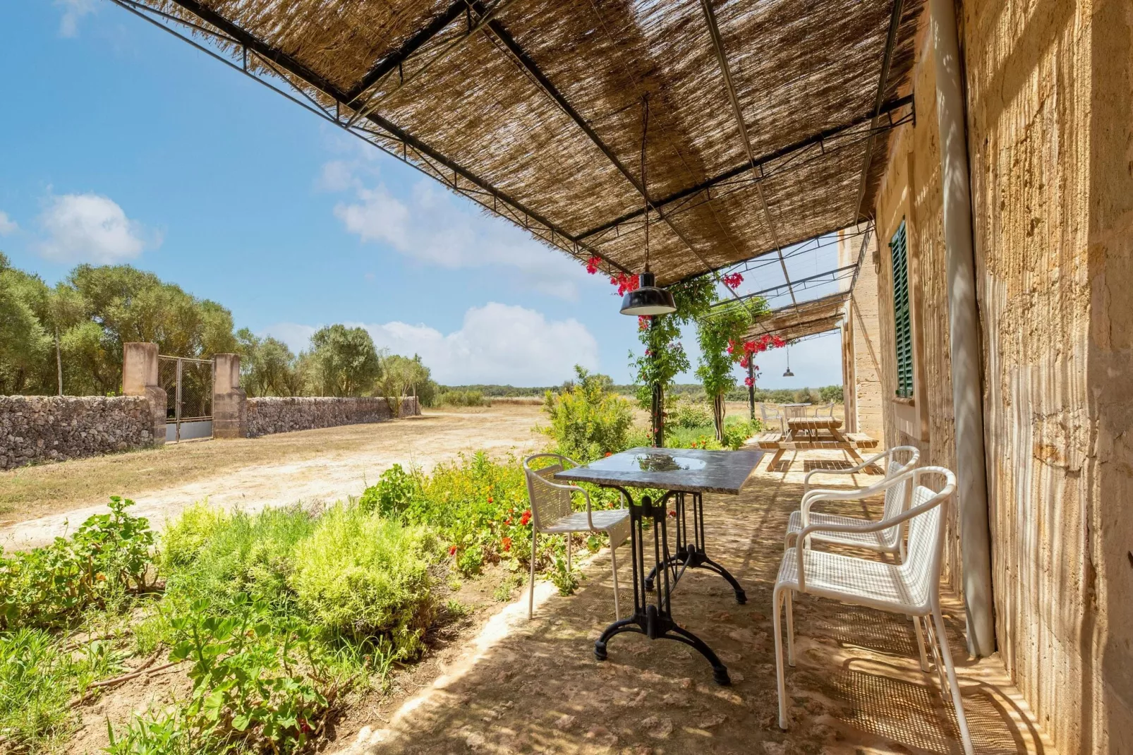 Gallinero-Terrasbalkon