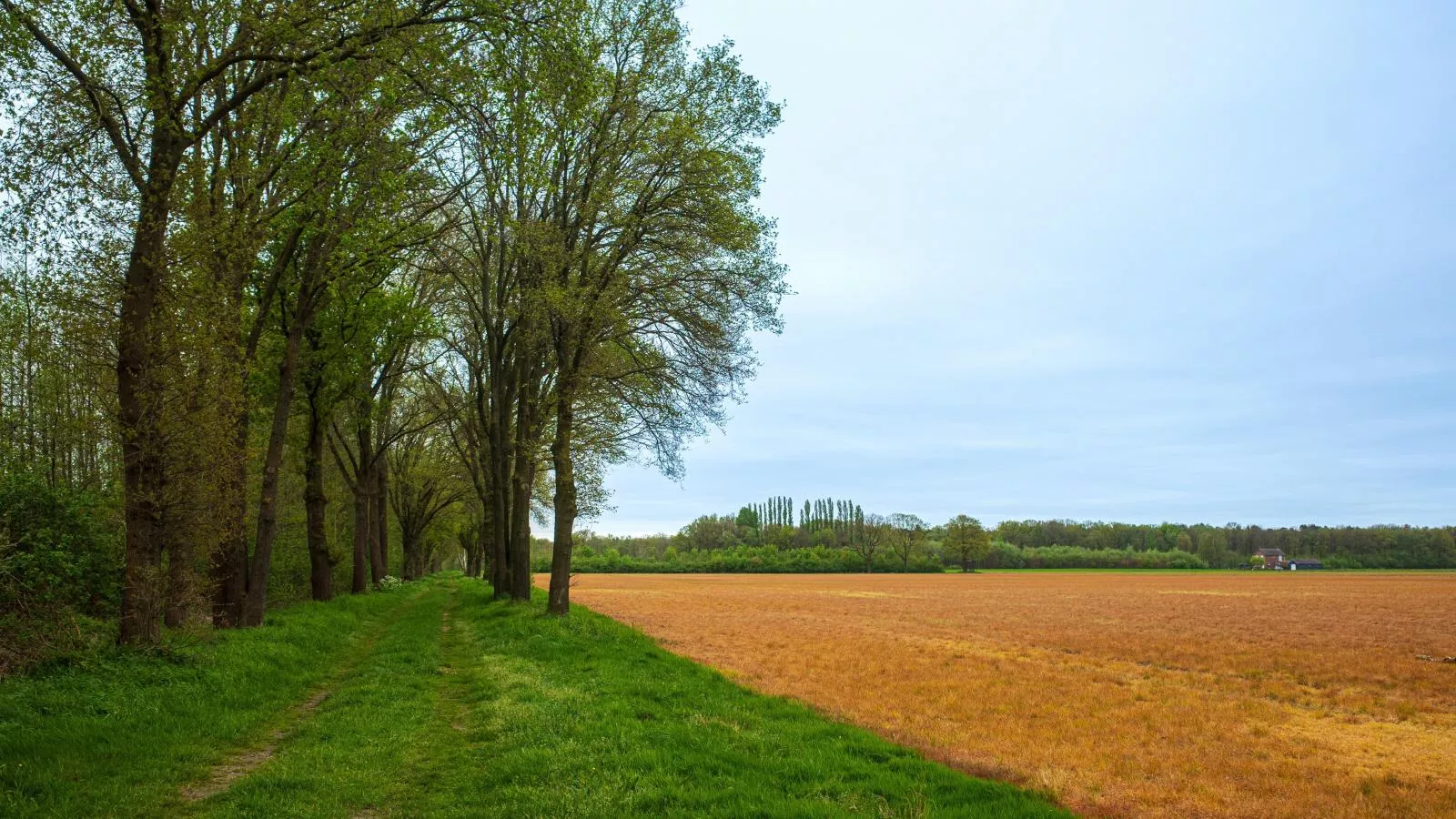 Het Edelhert-Gebieden zomer 5km